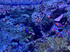 -新加坡海洋生态馆