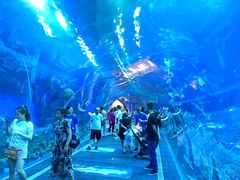 -成都浩海立方海洋公园