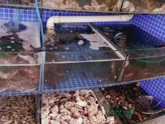 水产区-蟹谢蒸鲜自助餐厅