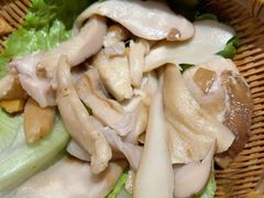 -滇野云南野生菌餐厅(陕西南路店)