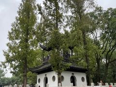 -汇龙潭