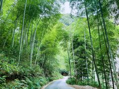 -水墨汀溪风景区