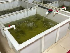 -七的湖·江南蟹舫·阳澄湖农家菜(蟹舫苑店)