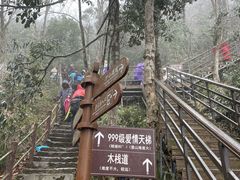 -金子山原生态旅游风景区