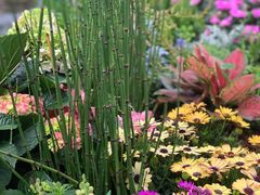 -人民公园(罗湖区)