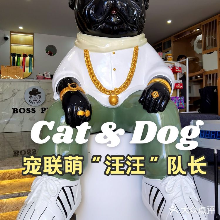 探店 ‖ 一起养宠物,一起快乐吧~