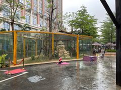 -灵玲国际马戏城