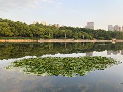 -后襄河公园