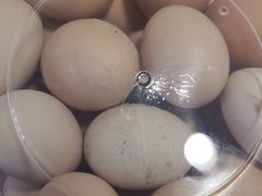 -寻味肇庆·八姑农庄·广府西江菜