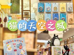 -猫的天空之城概念书店(大学路店)