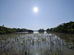 -江心屿景区