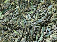 -龙坞茶村