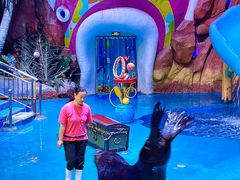 -烟台海昌鲸鲨海洋公园