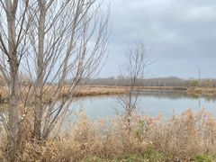 -野鸭湖国家湿地公园