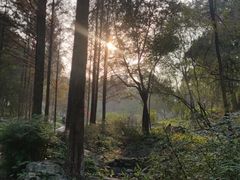 -重庆彩云湖湿地公园