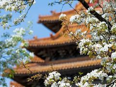 -故宫博物院(故宫)