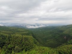 -蜀南竹海景区