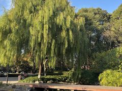 -苏州河梦清园环保主题公园