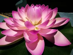 -华夏良子·足道SPA艾灸(王府井店)