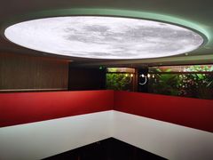 -鱼翅楼·津派砂锅鱼翅(水上公园店)
