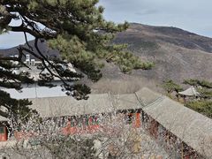 -妙峰山风景名胜区
