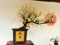 -颐和园