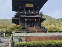 -大唐贡茶院