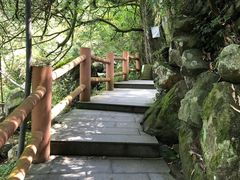 -藏龙百瀑风景区