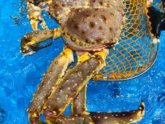 -盒马鲜生(曜一城店)