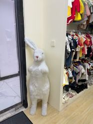 -憨大叔韩式儿童摄影(浦东新区店)