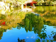 -醍醐寺