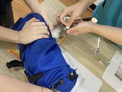 -荔康动物医院(康王北路店)