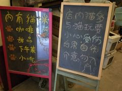 -猫色咖啡·猫咖