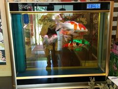 -ひみ冰见日本料理(旅顺九三路店)