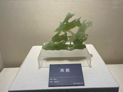 -安徽省地质博物馆