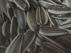 -鑫嘉汇购物中心