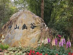 -广州白江湖森林公园