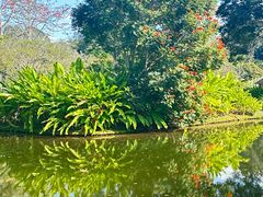 -中国科学院西双版纳热带植物园