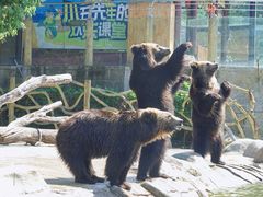 -常州淹城野生动物世界