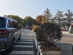 -佘山国家森林公园-1号地面停车场