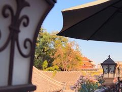 -Sirena海妖日咖夜酒