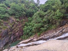 -广州白江湖森林公园