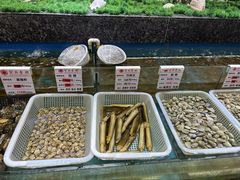 -宝燕壹号(徐汇店)