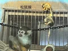 -青藏高原野生动物园