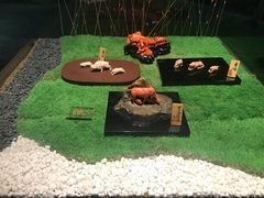 -绮丽珊瑚(台北101旗舰门市店)