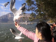 -云南民族村