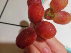 -蛙一刀·麻椒鱼火锅(金仙桥店)