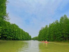 -上海海湾国家森林公园