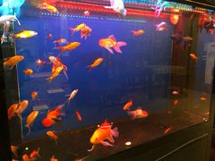 景观位-旺涛人家(三水湾店)