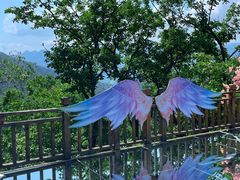 -本溪关山湖风景区